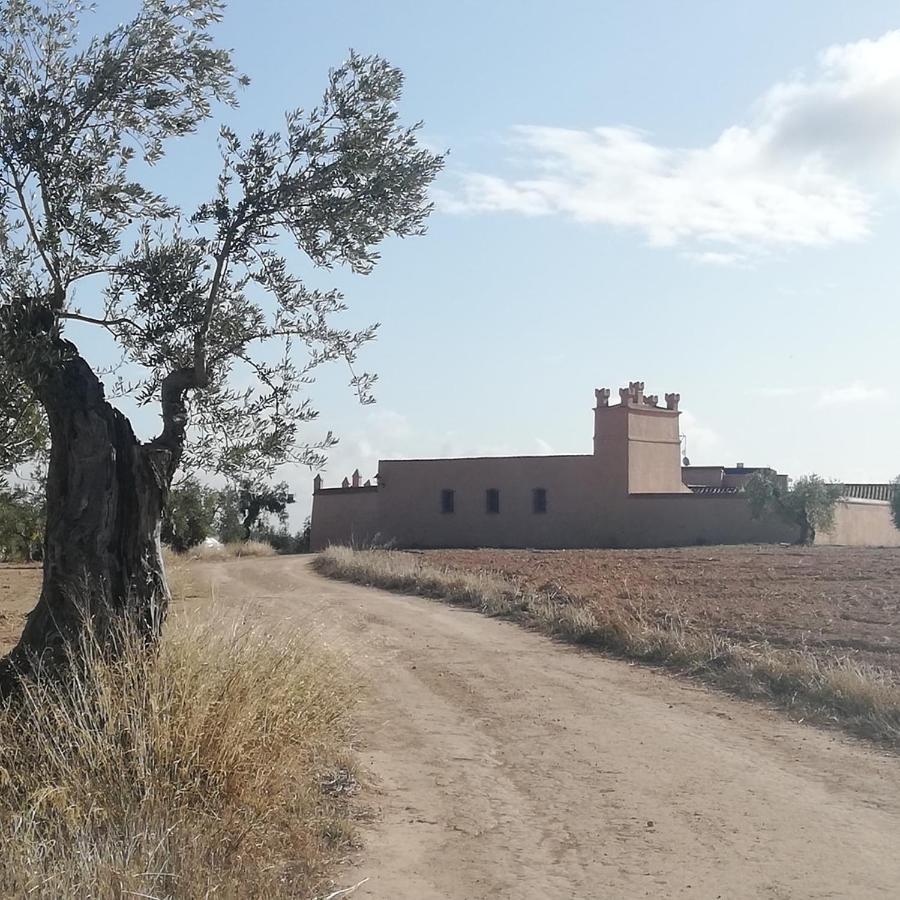 Albergue Turistico La Almazara Villafranca de los Barros Kültér fotó