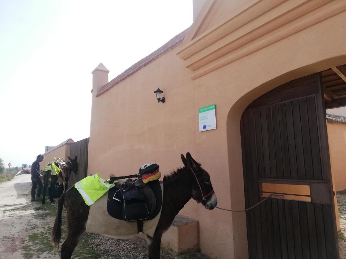Albergue Turistico La Almazara Villafranca de los Barros Kültér fotó