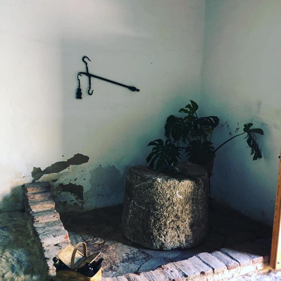 Albergue Turistico La Almazara Villafranca de los Barros Kültér fotó