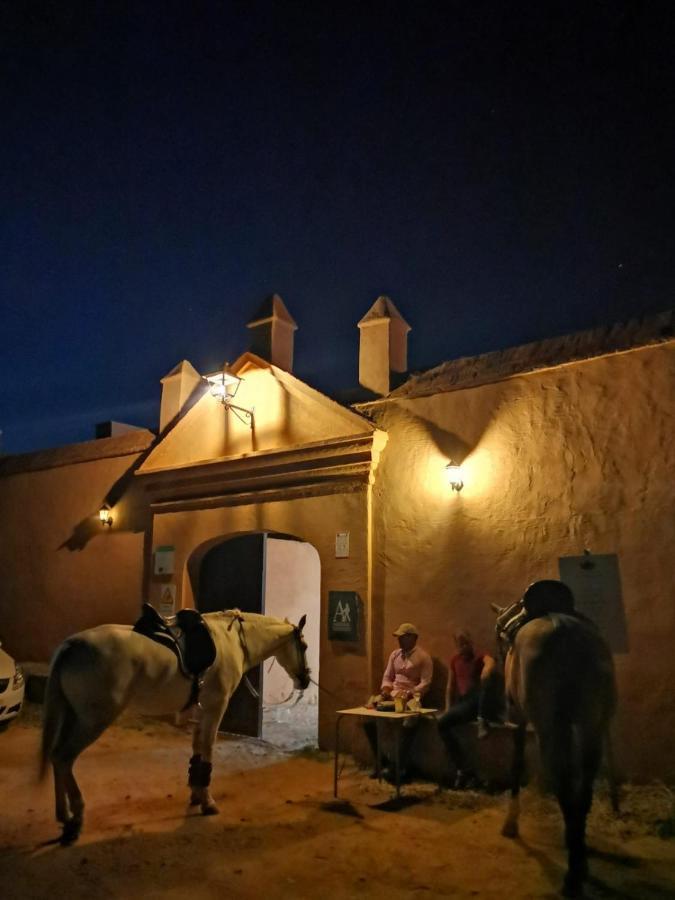 Albergue Turistico La Almazara Villafranca de los Barros Kültér fotó